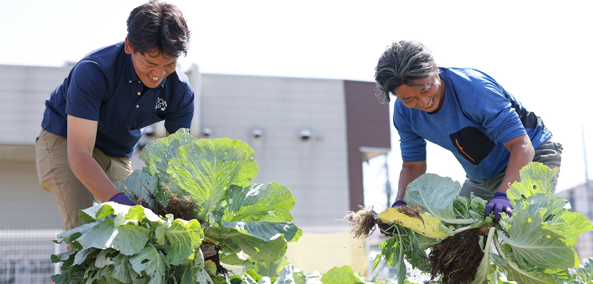 本格的な野菜づくり。なにもかもが手探りだった。